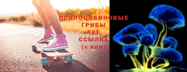 ешки Надым