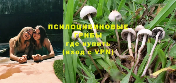 ешки Надым
