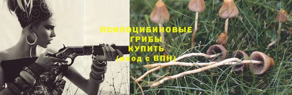 mdpv Михайловск